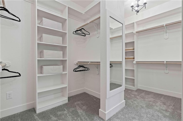 spacious closet featuring carpet flooring