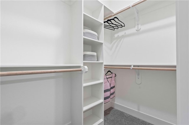 spacious closet with carpet floors