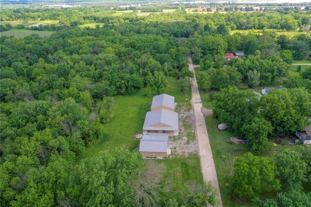 view of bird's eye view