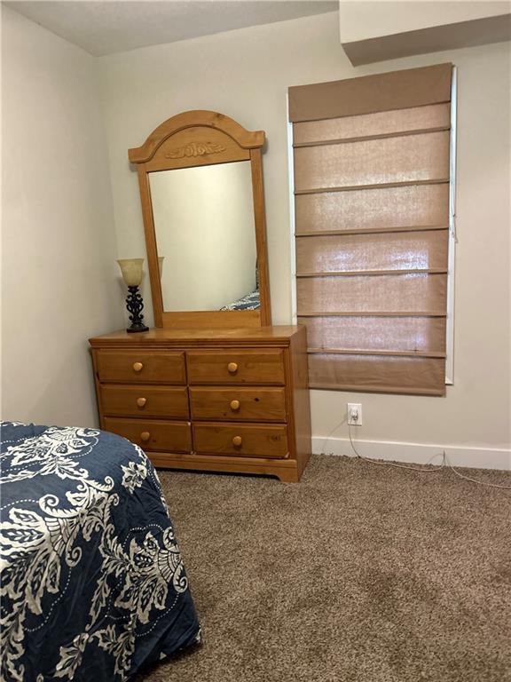 bedroom featuring carpet