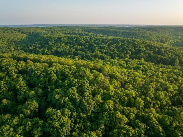 view of aerial view at dusk