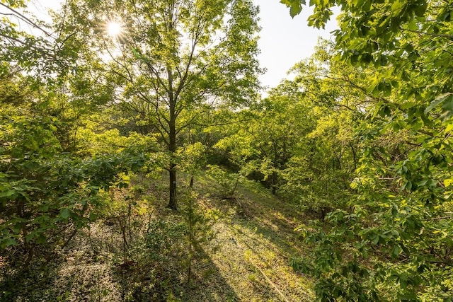 view of local wilderness