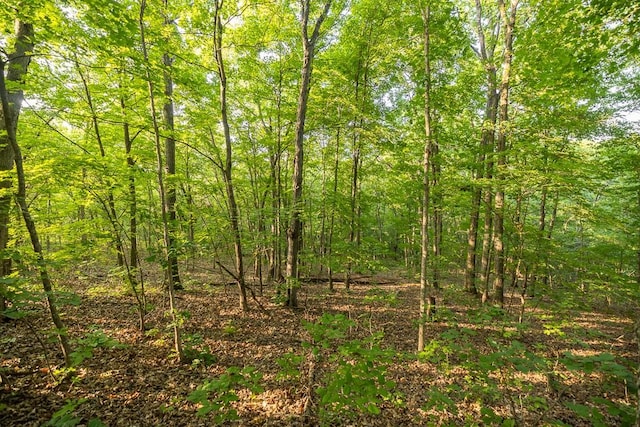 view of local wilderness