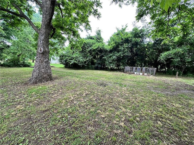 321 Pecan St, Chetopa, KS 67336 - view of green lawn