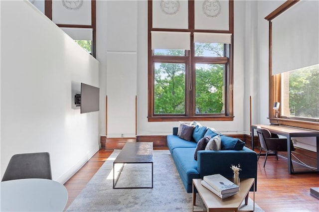 living room featuring hardwood / wood-style flooring and a high ceiling