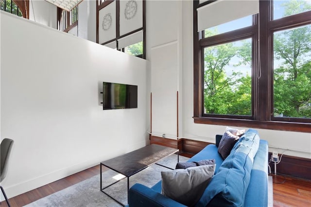 living room with a high ceiling and wood-type flooring