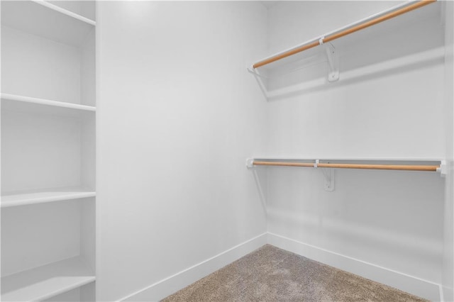 walk in closet with carpet floors