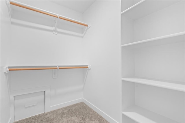 spacious closet featuring carpet floors