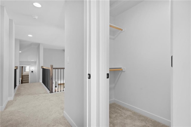 walk in closet with carpet flooring