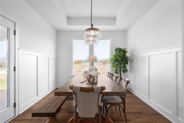 dining area featuring a raised ceiling and dark wood-type flooring