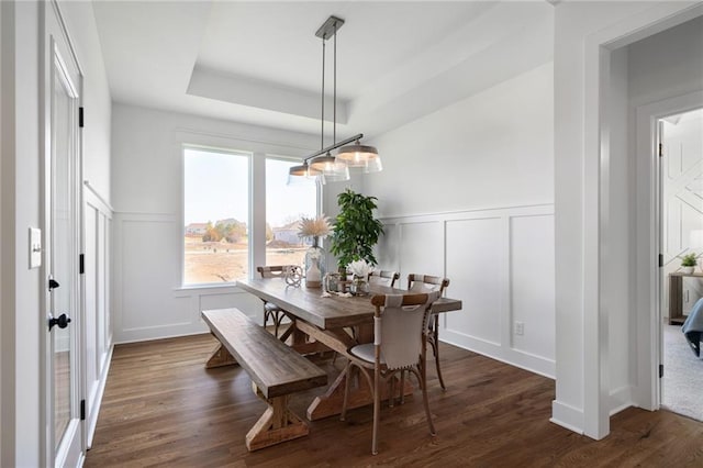 dining space with a tray ceiling and dark wood-type flooring