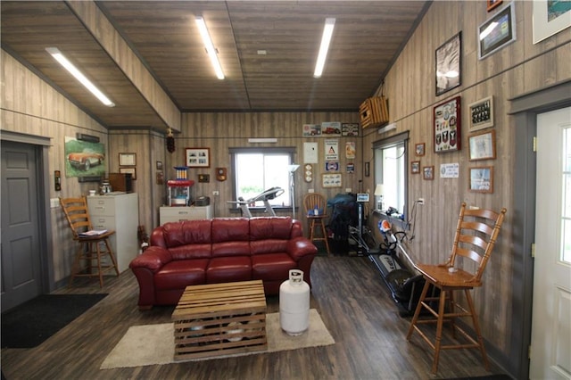 living area with wood walls, wood ceiling, vaulted ceiling, and dark wood-style flooring