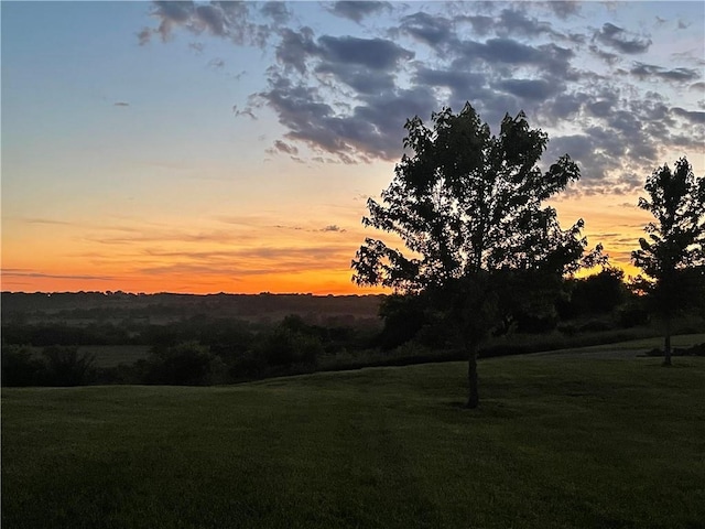 view of yard at dusk