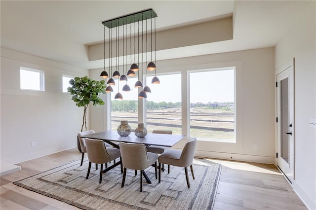 dining space with plenty of natural light, wood finished floors, baseboards, and a raised ceiling