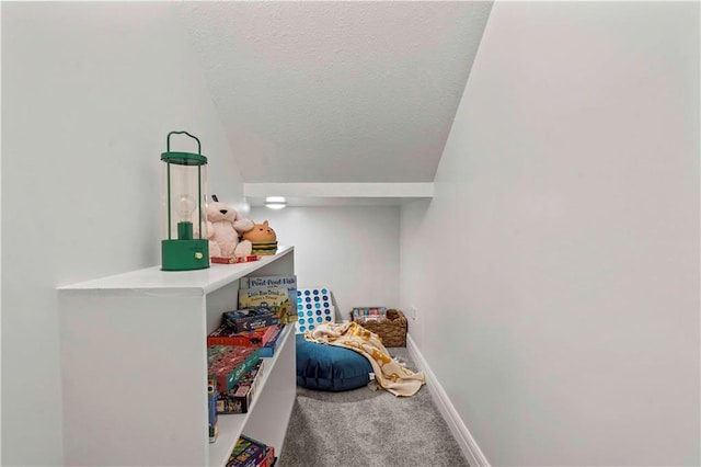 1600 SW 27th St, Lees Summit, MO 64082 - interior space featuring a textured ceiling, vaulted ceiling, and carpet floors