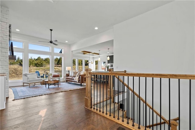 hallway featuring a wealth of natural light and dark hardwood / wood-style floors