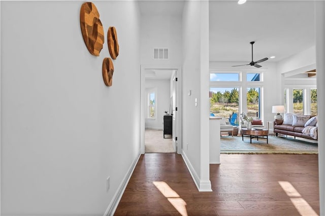 hall featuring dark hardwood / wood-style flooring and a healthy amount of sunlight