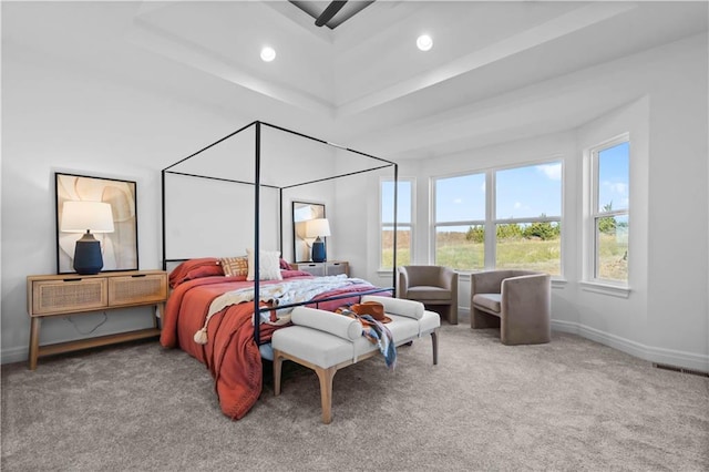 bedroom featuring carpet flooring and a raised ceiling