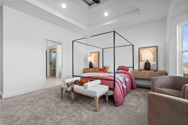 carpeted bedroom featuring a tray ceiling