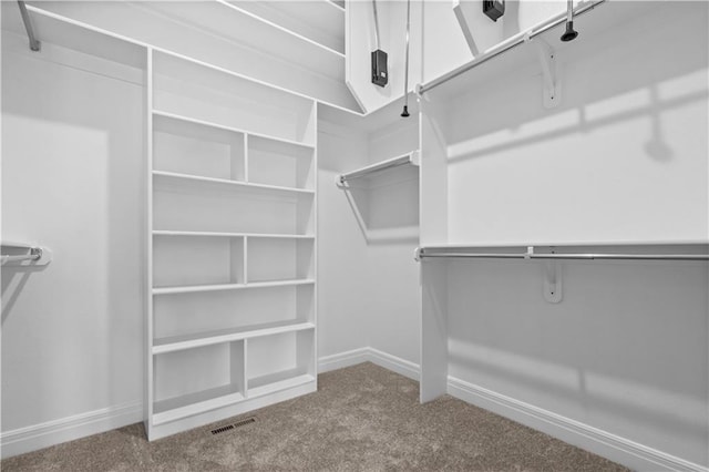 spacious closet featuring carpet floors