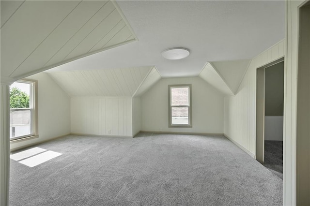 additional living space featuring light carpet and lofted ceiling