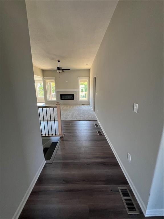 hall with dark wood-type flooring