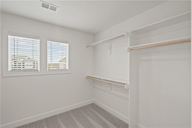 spacious closet featuring carpet flooring