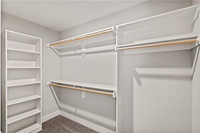 spacious closet featuring dark colored carpet