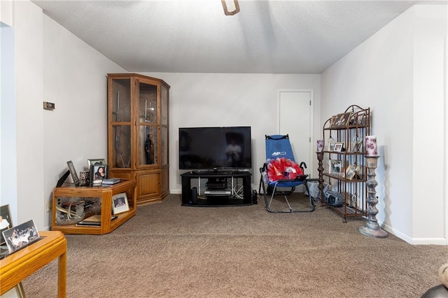 carpeted living room with a textured ceiling