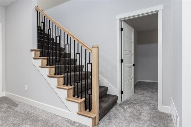 staircase with carpet floors