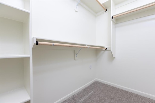 spacious closet with carpet floors