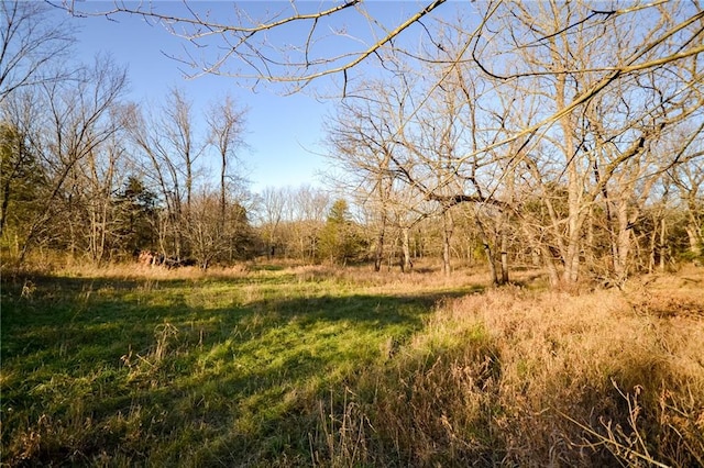 view of local wilderness