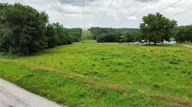 view of yard with a rural view