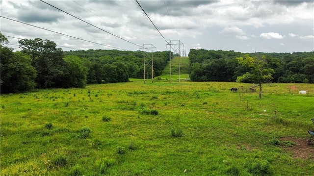 view of yard with a rural view