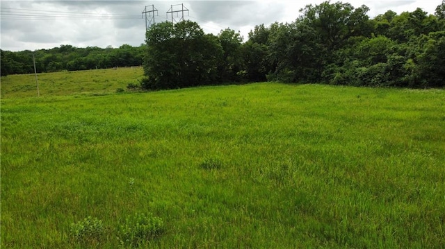 view of local wilderness