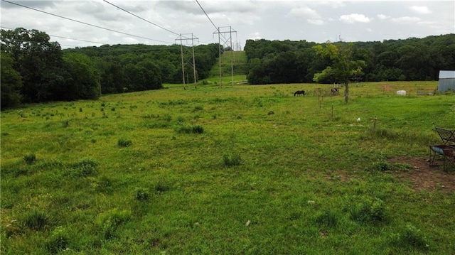 view of yard featuring a rural view