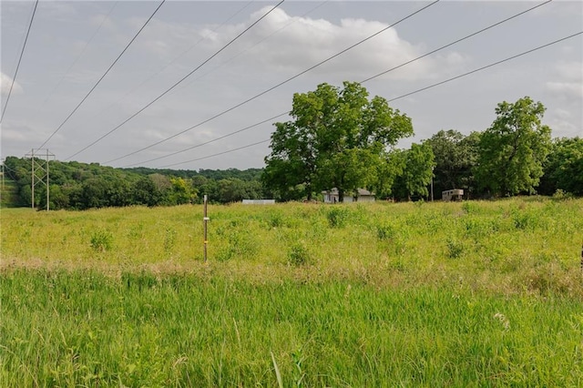 view of local wilderness featuring a rural view