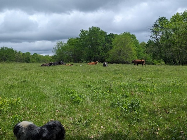 view of landscape featuring a rural view