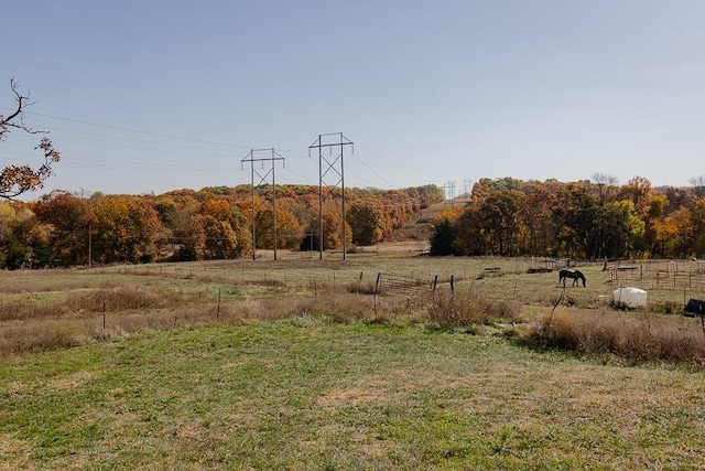 view of yard featuring a rural view