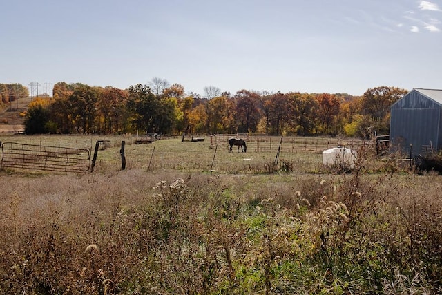 view of yard with a rural view