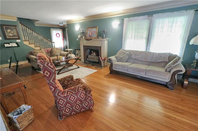 living room featuring crown molding and hardwood / wood-style flooring