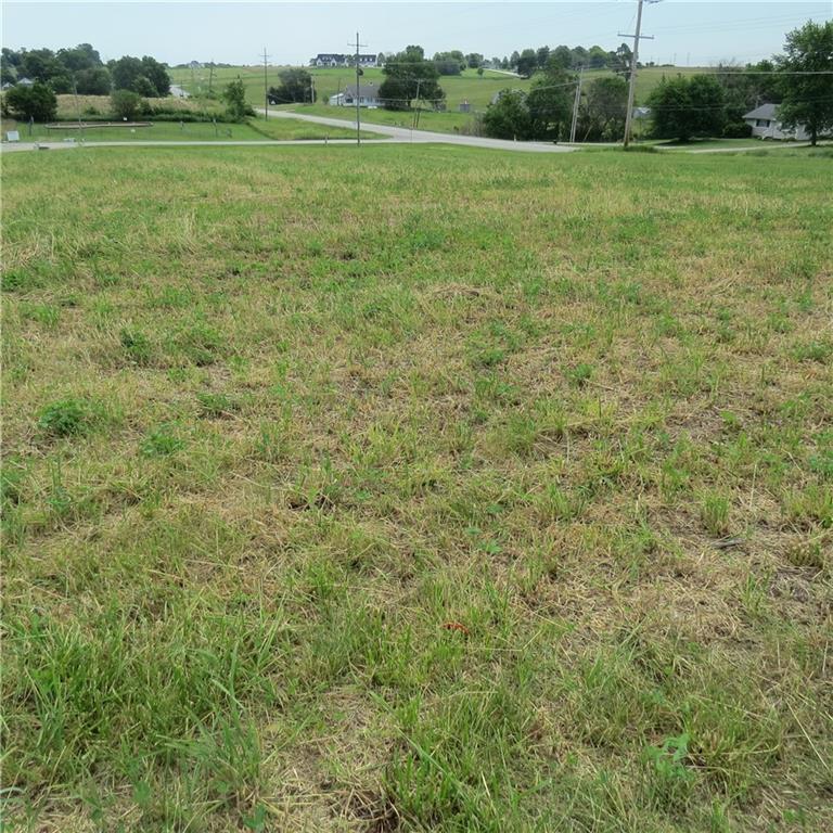 Porter Dr Unit 2, Maryville, MO 64468 - photo 3