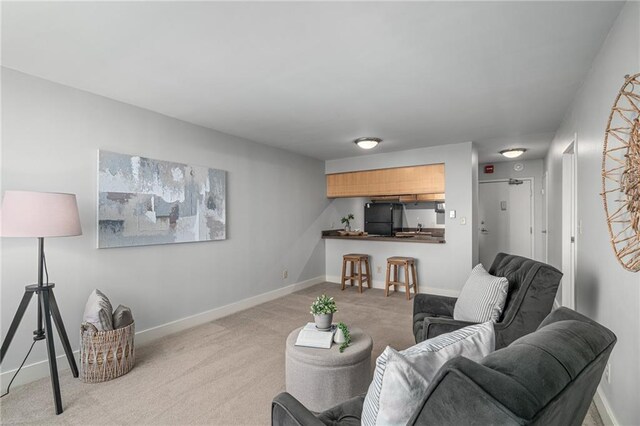 view of carpeted living room