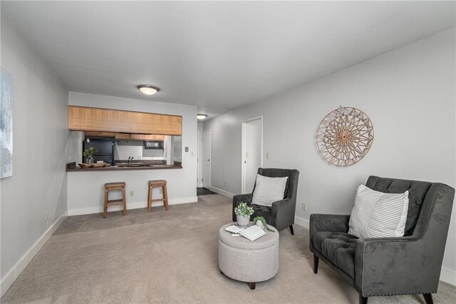 living area with light colored carpet