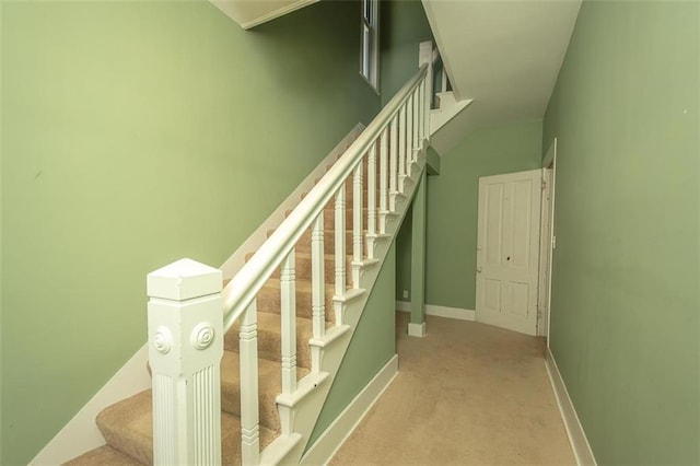 stairs with carpet flooring