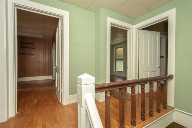 hallway with a drop ceiling and hardwood / wood-style flooring