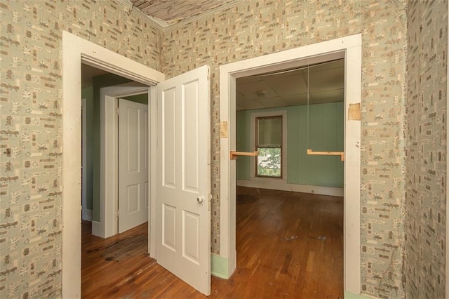 hallway featuring hardwood / wood-style flooring