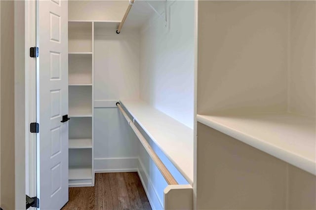 spacious closet featuring dark hardwood / wood-style floors