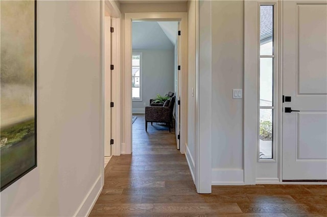 entrance foyer with dark hardwood / wood-style floors