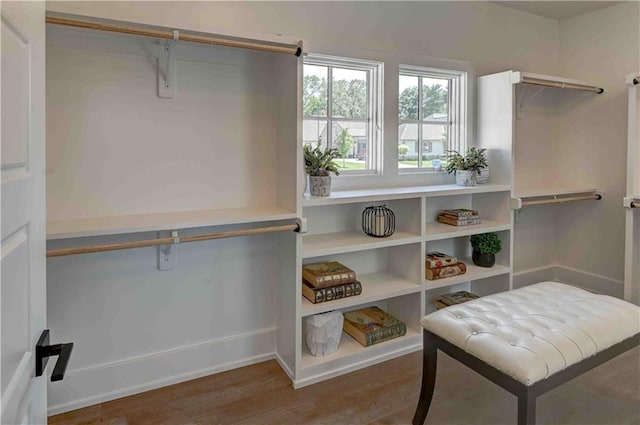 walk in closet featuring wood-type flooring